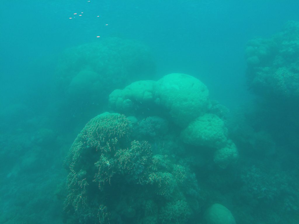 great_barrier_reef